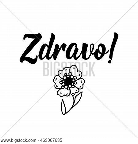 Zdravo. Translation From Slovenian - Hello. Element For Flyers, T-shirt, Banner And Posters. Modern 