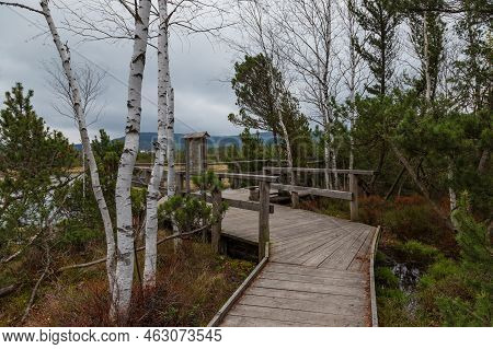 Sumava Protected Landscape Area In The Czech Republic In Europe. Area Chalupska Slat - Forests, Mead