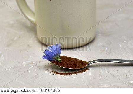 A Spoon With Chicory Flower And Chicory Powder And Chicory Flowers In A Coffee Mug