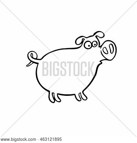 Cartoon Line Sketch Piggy, Pig Vector Illustration