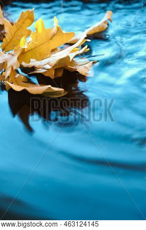 Autumn Leaves In Water With Ripple, Copy-space. Vertical Background For Social Media Stories. Abstra