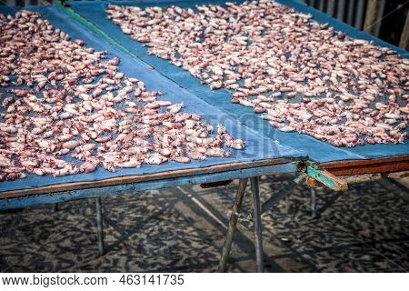 Dried Squid Or Octopus At Thai Seafood Market