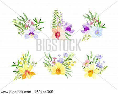 Fragrant Orchid Blooms With Labellum Arranged With Floral Branches Vector Set