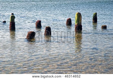 Sandy Shore ahşap mesaj