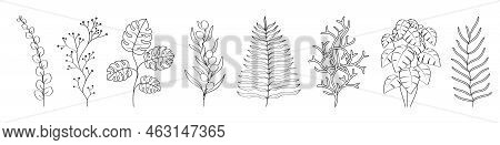 Flower Branches Plants. Set Of Leafy Design Elements.