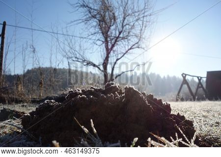 Humus On Field Image & Photo (Free Trial) | Bigstock