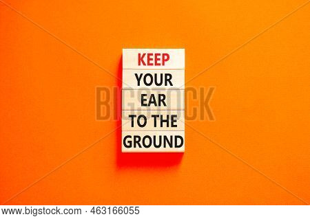 Keep Your Ear To The Ground Symbol. Concept Words Keep Your Ear On The Ground On Wooden Blocks. Beau