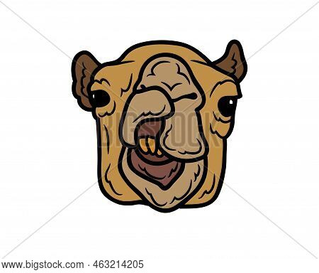 Camel Vector Or Illustration Animals Logo Drawing 3d Graphics Pets Wildlife Colorful Single Camel Si