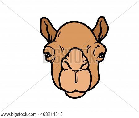 Camel Vector Or Illustration Animals Logo Drawing 3d Graphics Pets Wildlife Colorful Single Camel Si