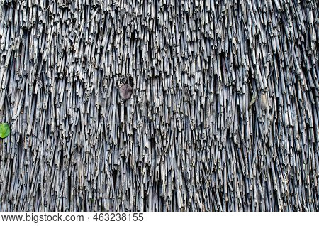 The Thatched Roof Texture Of An Old House
Old Straw Faded In The Sun As A Material For The Roof. Tro