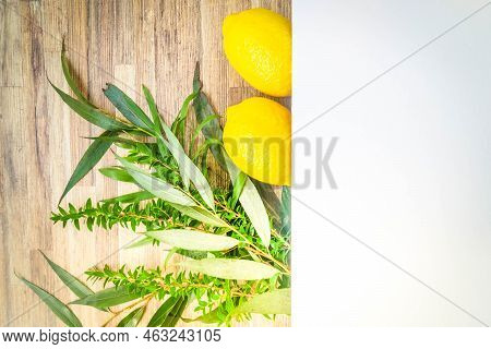 Happy Sukkot - Religion Image Of Jewish Festival Of Sukkot. Traditional Symbols Etrog, Lulav, Hadas,