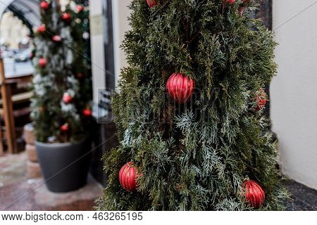Festively Decorated Outdoor Christmas Tree Outdoors. Xmas