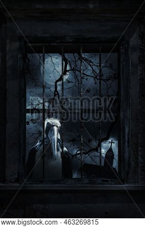 Lesser Adjutant Stork Bird Standing In Old Damaged Wood Window With Wall Over Cross, Church, Dead Tr