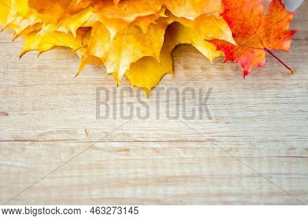 Background Of Many Yellow Maple Leaves With Space For Text On A Wooden Background. Autumn Leaf Backg
