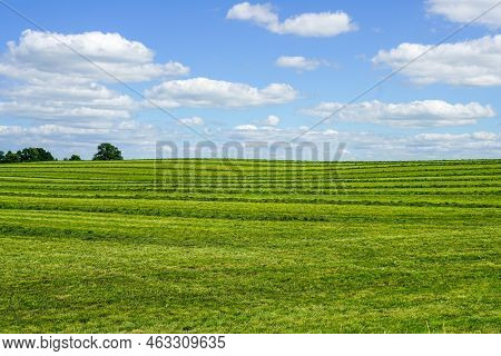 Rural Landscape In Summer With A Freshly Mowed Meadow With Trees On The Background Of A Blue Sky Wit