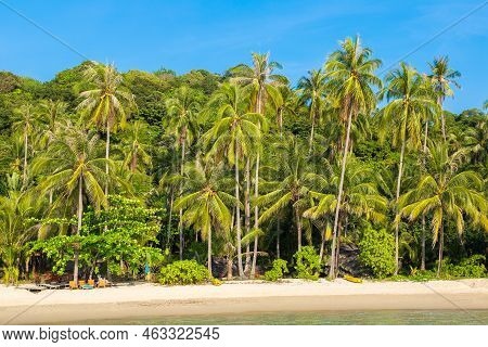 Beautful Tropical Beach In A Sunny Day