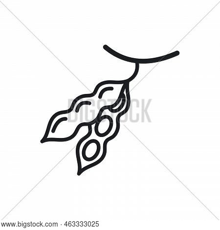 Soy Beans, Vector Peas Line Icon Template Black Color Editable. Soy Beans, Vector Peas Line Icon Sym