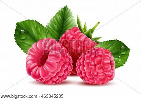 Realistic Raspberry Composition With Fresh Ripe Berries And Grean Leaves On White Background Vector 