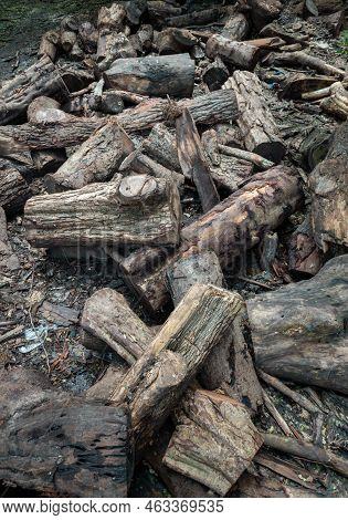 A Pile Of Cut Wooden Logs, Cut Down Tree Trunks Sawed And Ready For Production Or To Be Used As Fire