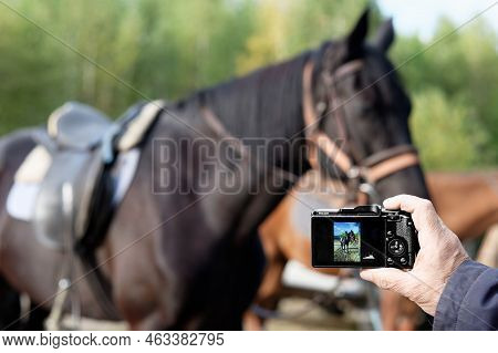A Man Tries To Focus On A Riding Horse With A Compact Ricoh Gr Iii Camera. Chelyabinsk, Russia - Sep