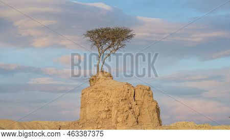 Limestone Rock Formations At The Umm Bab, Qatar.