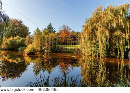 Beautiful Colorful Autumn Lake Surrounded By Autumn Follage. Autumn Background.