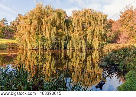 Beautiful Colorful Autumn Lake Surrounded By Autumn Follage. Autumn Background.