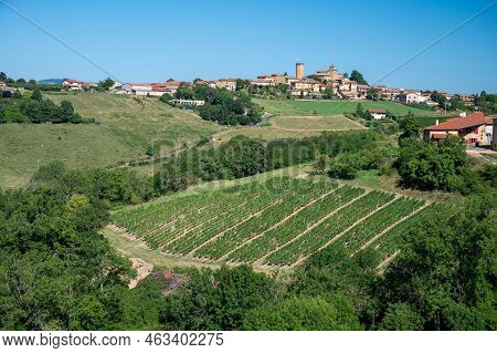 Landscape With Vineyards Near Beaujolais Wine Making Village Val D'oingt, Gateway To Beaujolais Wine