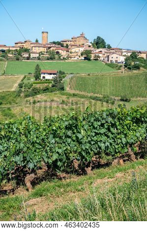Landscape With Vineyards Near Beaujolais Wine Making Village Val D'oingt, Gateway To Beaujolais Wine