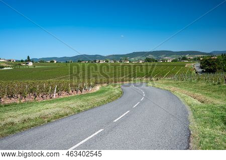 Landscape With Vineyards Near Beaujolais Wine Making Village Val D'oingt, Gateway To Beaujolais Wine