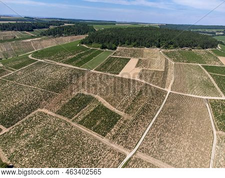 Aerial View On Chablis Grand Cru Appellation Vineyards With Grapes Growing On Limestone And Marl Soi