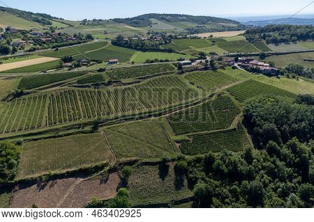 Landscape With Vineyards Near Beaujolais Wine Making Village Val D'oingt, Gateway To Beaujolais Wine