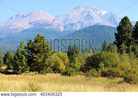 Deciduous And Pine Trees At A Temperate Forest Besides Sisson Meadow With Mt Shasta Beyond Taken In 