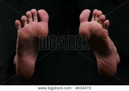 Feets