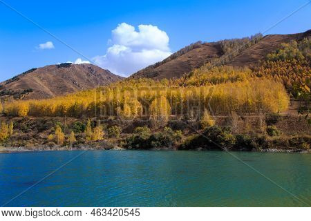 Mountain Lake With Yellow Trees. Autumn Landscape. Kyrgyzstan, Ak-tuz Gorge. Natural Background.