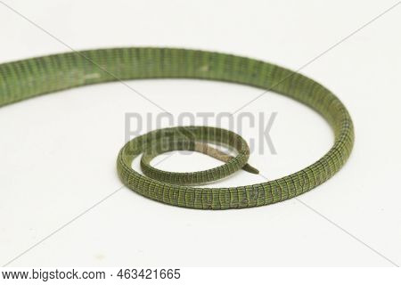 The Emerald Green Tree Monitor Lizard (varanus Prasinus) Isolated On White Background