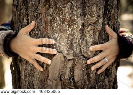Woman Hugging Tree Bark - Fingers With Rings And Love Protection Environment Nature Concept For New 