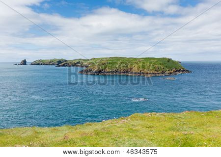 เวลส์เกาะ Skomer ที่รู้จักกันสำหรับสัตว์ป่า
