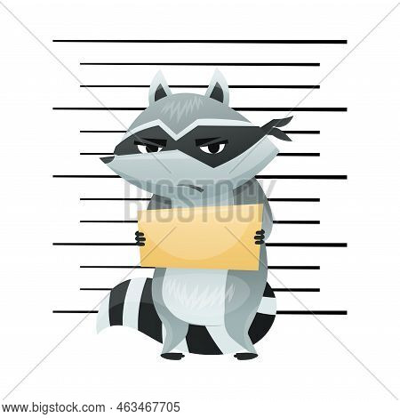Arrested Raccoon Burglar With Striped Tail Wearing Mask Taking Mug Shot Or Police Photograph Vector 