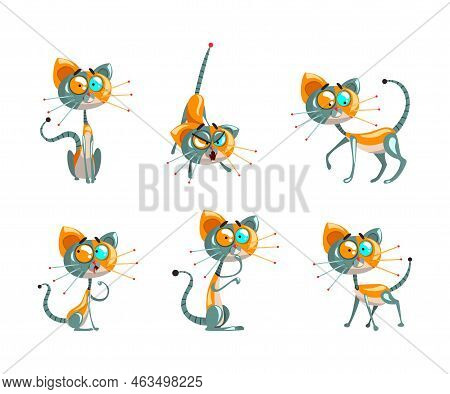 Cute Robotic Cat With Metal Tail And Whiskers Sitting And Walking Vector Set
