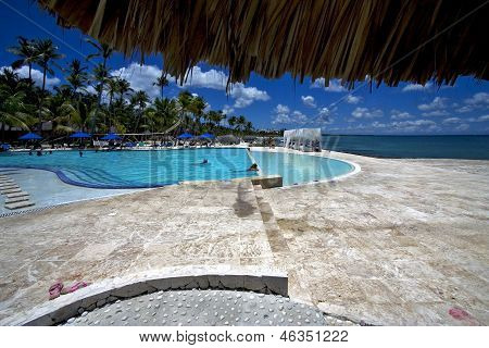 Republica Dominicana Pool Tree Palm  Peace Marble