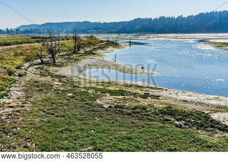 A View Of The Nisqually Wetlands In Washington State. Landscape Photo.