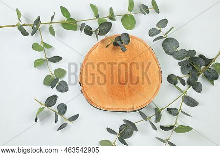 Minimal Abstract Background For Presentation Of Cosmetic Products, Premium Podium With Wooden Birch 