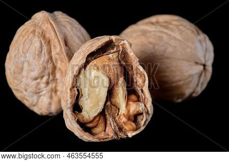 Walnut Photography On A Black Background Photographed Close-up
