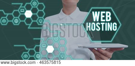 Writing Displaying Text Web Hosting. Business Concept Business Allowing Access To A Server To Store 