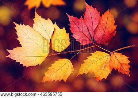 Autumn Leaf On A Tree Mid-autumn Brown Background. Beautiful Forest Decoration.