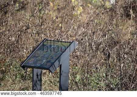 Red River National Wildlife Refuge, Bossier City, Louisiana/usa - December 11 2021: Carolina Wren (t