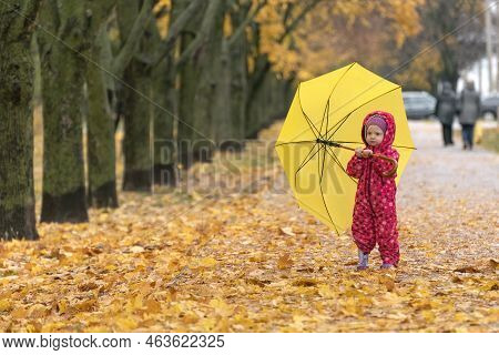 Child With Yellow Umbrella Is Walking In The Autumn Park. Yellow Foliage Underfoot. Walking Under Ra