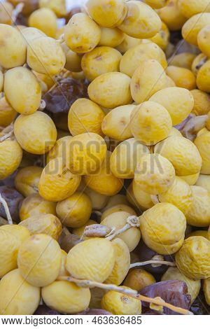 Bunches Of Round Yellow Dates, Barhi Variety. Displayed At Street Market Stall