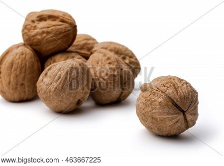 Walnut Photography On White Background Close-up Isolate